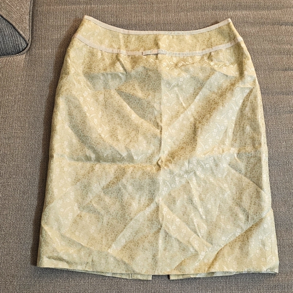 Ann Taylor Pastel Green Gold Silk Blend Delicate Detail Boho Lined Skirt Size 4P
